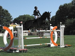 horseshow2-14.jpg