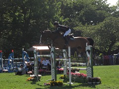 horseshow2-15.jpg