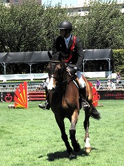horseshow2-2.jpg