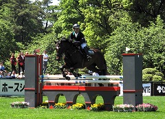 horseshow2-5.jpg