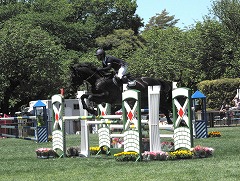 horseshow2-7.jpg