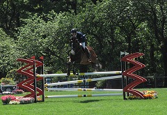 horseshow2-8.jpg