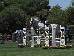 horseshow2-9.jpg