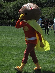 horseshow3-10.jpg