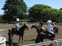 horseshow3-13.jpg