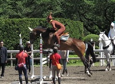 horseshow3-14.jpg