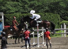 horseshow3-15.jpg