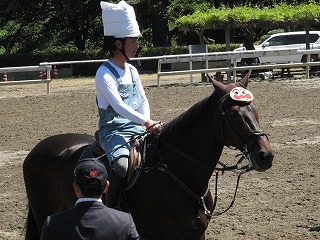 horseshow3-16.jpg