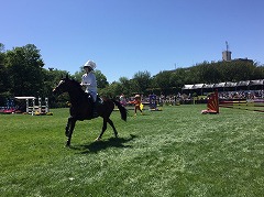horseshow3-18.jpg