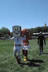 horseshow3-7.jpg