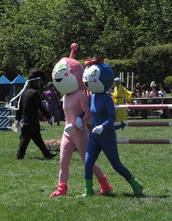 horseshow3-9.jpg