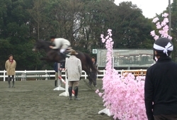 受験生応援イベント