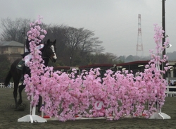 kachiuma2010_2.jpg