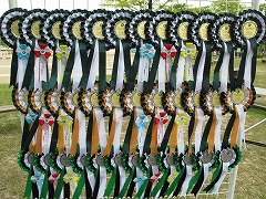 競技シーズン到来！クレイン選手たちの活躍をお届します-３