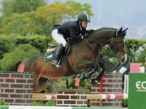 世界馬術選手権大会（ケンタッキー）