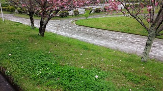 open1-12.jpg