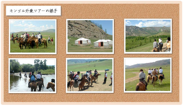 riding_pct0a.png
