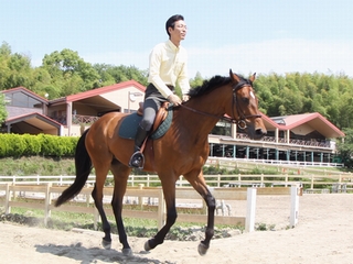 クレインで活躍する競走馬