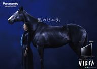 馬が登場するＣＭやドラマ