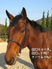 ybiomoka.jpg