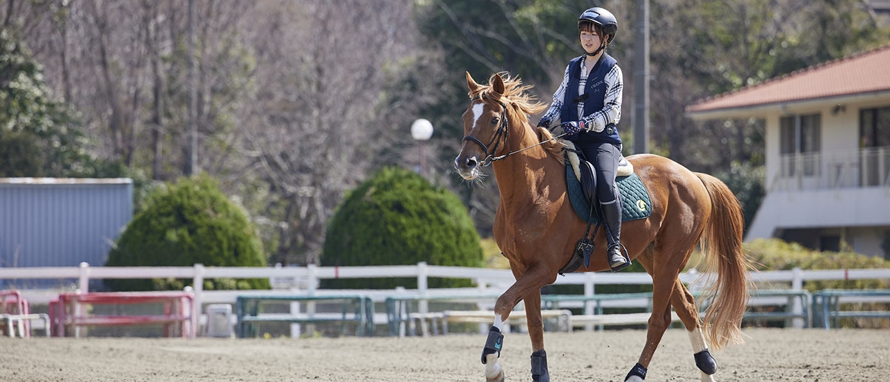 乗馬クラブ クレイン大阪：クラブ一覧：近畿エリア：大阪府｜乗馬クラブクレイン｜全国35ヶ所の乗馬クラブ