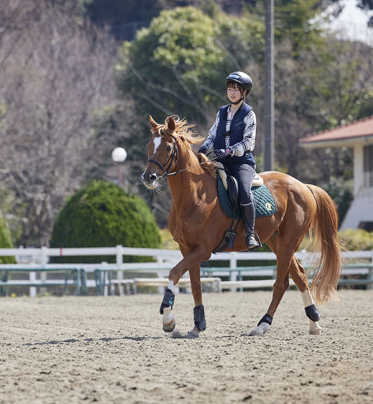 乗馬クラブ クレイン多々良：クラブ一覧：中国四国エリア：山口県｜乗馬クラブクレイン｜全国35ヶ所の乗馬クラブ