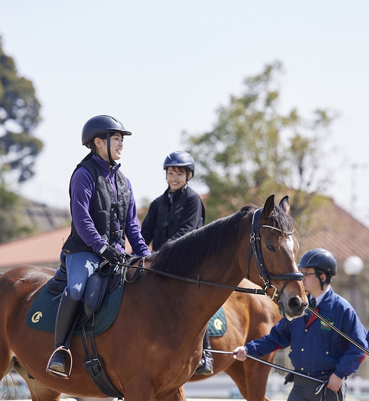 乗馬体験１回コース：クラブ一覧：関東エリア：埼玉県：乗馬クラブ クレイン伊奈｜乗馬クラブクレイン｜全国35ヶ所の乗馬クラブ