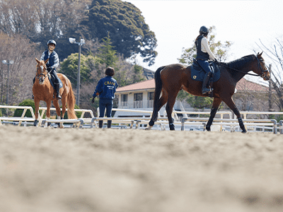 2021年3月｜乗馬クラブクレイン｜全国35ヶ所の乗馬クラブ