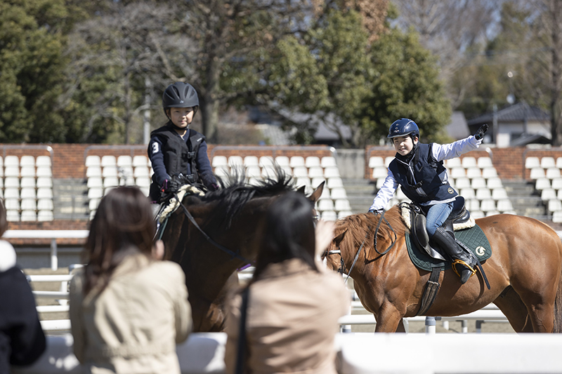 会員システム：会員システム｜乗馬クラブクレイン｜全国35ヶ所の乗馬クラブ